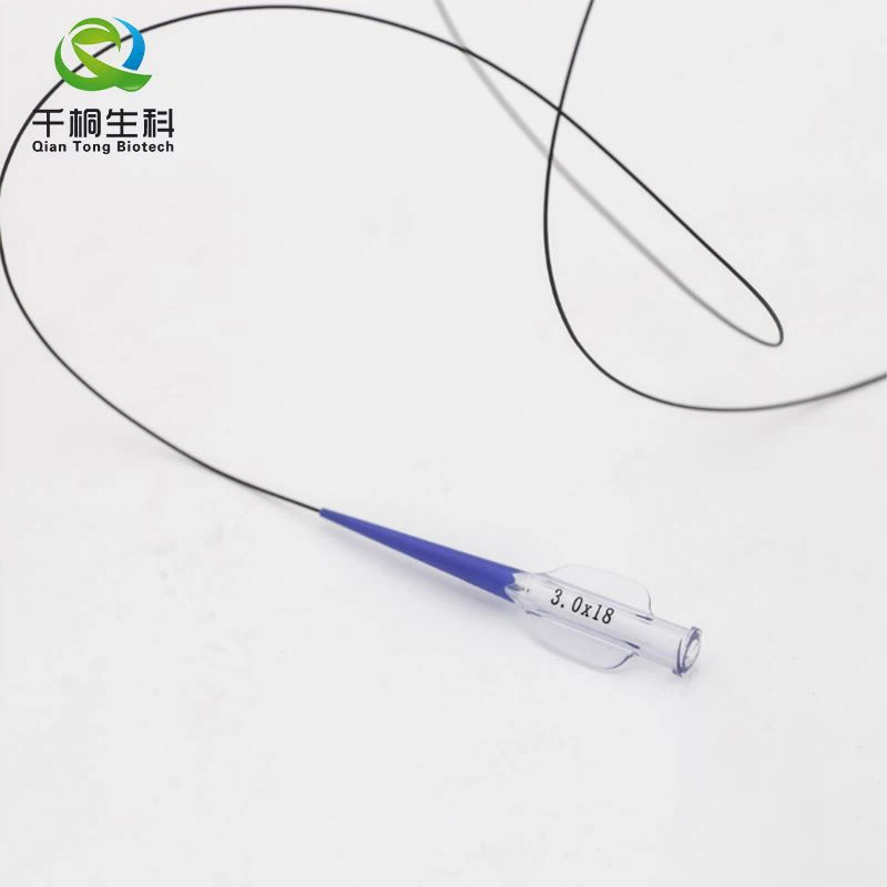 Ptca Dilatation Catheter Ptca Dilatation Catheter